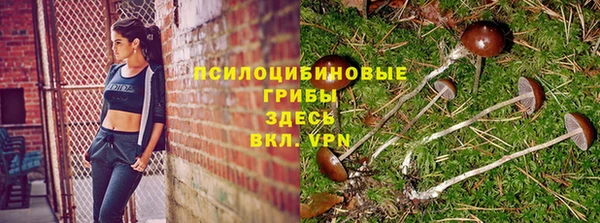 тгк Алексеевка